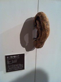 f:id:Magnoliarida:20130421004909j:image