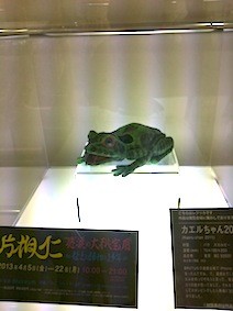 f:id:Magnoliarida:20130421004929j:image f:id:Magnoliarida:20130421004929j:image