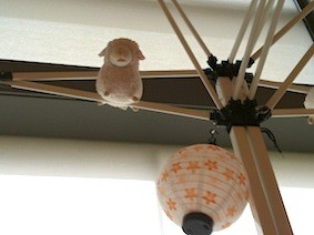 f:id:Magnoliarida:20130522011742j:image