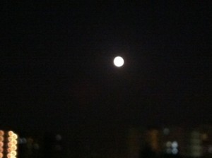 f:id:Magnoliarida:20130526235754j:image f:id:Magnoliarida:20130526235754j:image