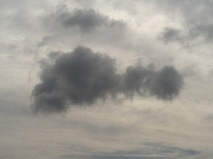 f:id:Magnoliarida:20130528232416j:image