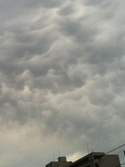 f:id:Magnoliarida:20130706013427j:image