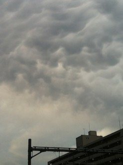 f:id:Magnoliarida:20130706013428j:image