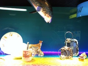 f:id:Magnoliarida:20130812221018j:image