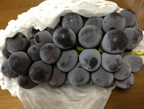 f:id:Magnoliarida:20130812221025j:image