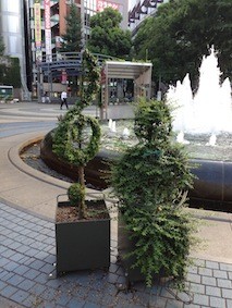 f:id:Magnoliarida:20130817003514j:image f:id:Magnoliarida:20130817003514j:image