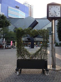 f:id:Magnoliarida:20130817003516j:image f:id:Magnoliarida:20130817003516j:image