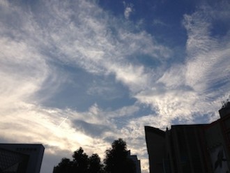 f:id:Magnoliarida:20130817003931j:image f:id:Magnoliarida:20130817003931j:image