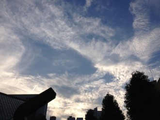 f:id:Magnoliarida:20130817003932j:image f:id:Magnoliarida:20130817003932j:image