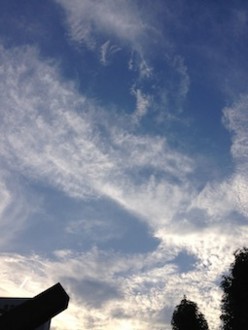 f:id:Magnoliarida:20130817003933j:image f:id:Magnoliarida:20130817003933j:image