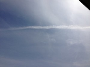 f:id:Magnoliarida:20130817233948j:image