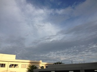 f:id:Magnoliarida:20130916223445j:image