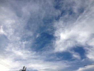 f:id:Magnoliarida:20130916223451j:image