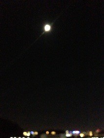 f:id:Magnoliarida:20130916223517j:image