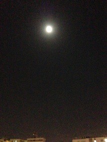 f:id:Magnoliarida:20130920000633j:image