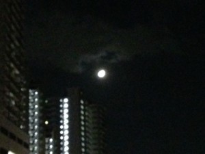 f:id:Magnoliarida:20131012232008j:image