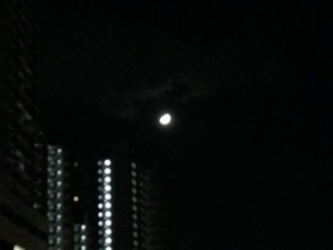 f:id:Magnoliarida:20131012232009j:image