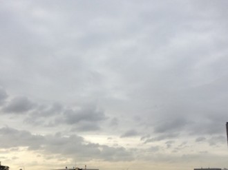 f:id:Magnoliarida:20131024002816j:image