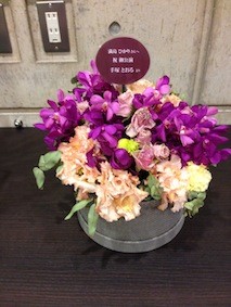 f:id:Magnoliarida:20131103234005j:image