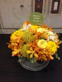 f:id:Magnoliarida:20131103234006j:image