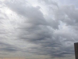 f:id:Magnoliarida:20131128000531j:image