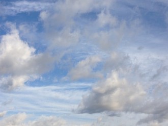 f:id:Magnoliarida:20131128000535j:image f:id:Magnoliarida:20131128000535j:image