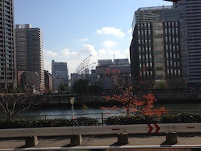 f:id:Magnoliarida:20131202002750j:image