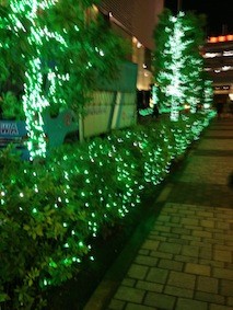 f:id:Magnoliarida:20131221005207j:image