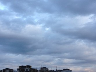 f:id:Magnoliarida:20140118014324j:image f:id:Magnoliarida:20140118014324j:image