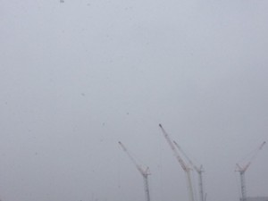 f:id:Magnoliarida:20140215002246j:image