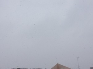 f:id:Magnoliarida:20140215002247j:image