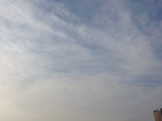 f:id:Magnoliarida:20140220153057j:image