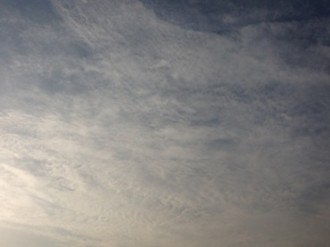 f:id:Magnoliarida:20140220153058j:image