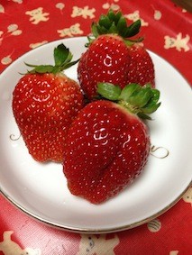 f:id:Magnoliarida:20140222021312j:image