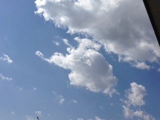 f:id:Magnoliarida:20140322025012j:image