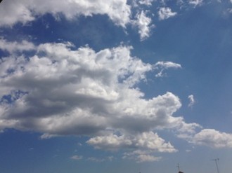 f:id:Magnoliarida:20140322025016j:image