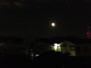 f:id:Magnoliarida:20140323022932j:image