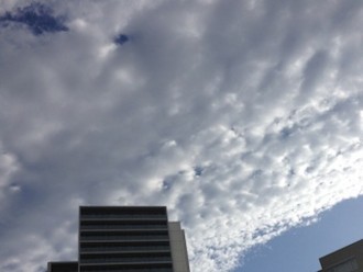 f:id:Magnoliarida:20140331022041j:image