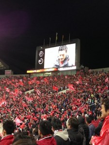 f:id:Magnoliarida:20140407022511j:image