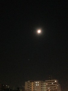 f:id:Magnoliarida:20140415012358j:image