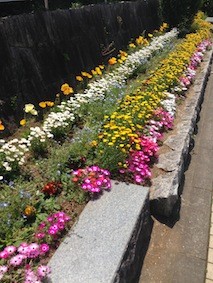 f:id:Magnoliarida:20140505003417j:image