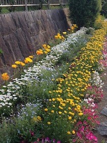 f:id:Magnoliarida:20140505003431j:image