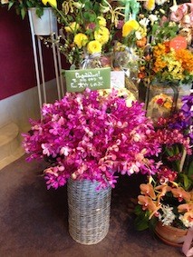 f:id:Magnoliarida:20140505003454j:image