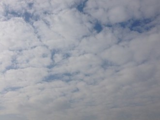 f:id:Magnoliarida:20140507223733j:image