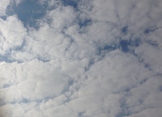 f:id:Magnoliarida:20140507223736j:image