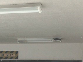 f:id:Magnoliarida:20140507223842j:image