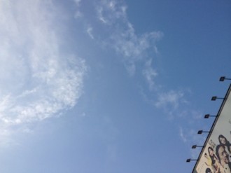 f:id:Magnoliarida:20140602135849j:image