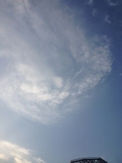 f:id:Magnoliarida:20140602135850j:image