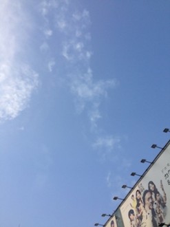 f:id:Magnoliarida:20140602135851j:image