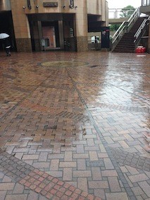 f:id:Magnoliarida:20140608022219j:image